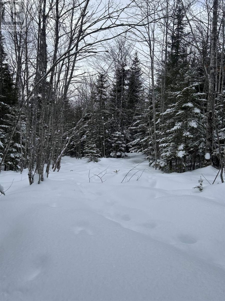 Property 4 of 6 of Lot 1 Highway 289