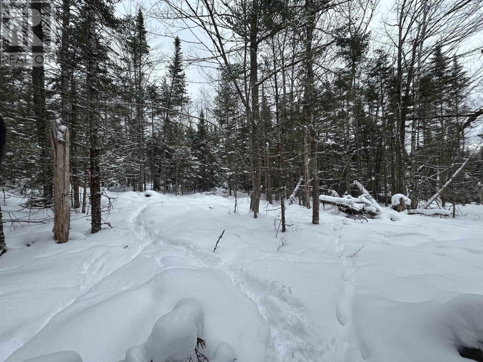 Property 4 of 6 of Lot 2 Highway 289