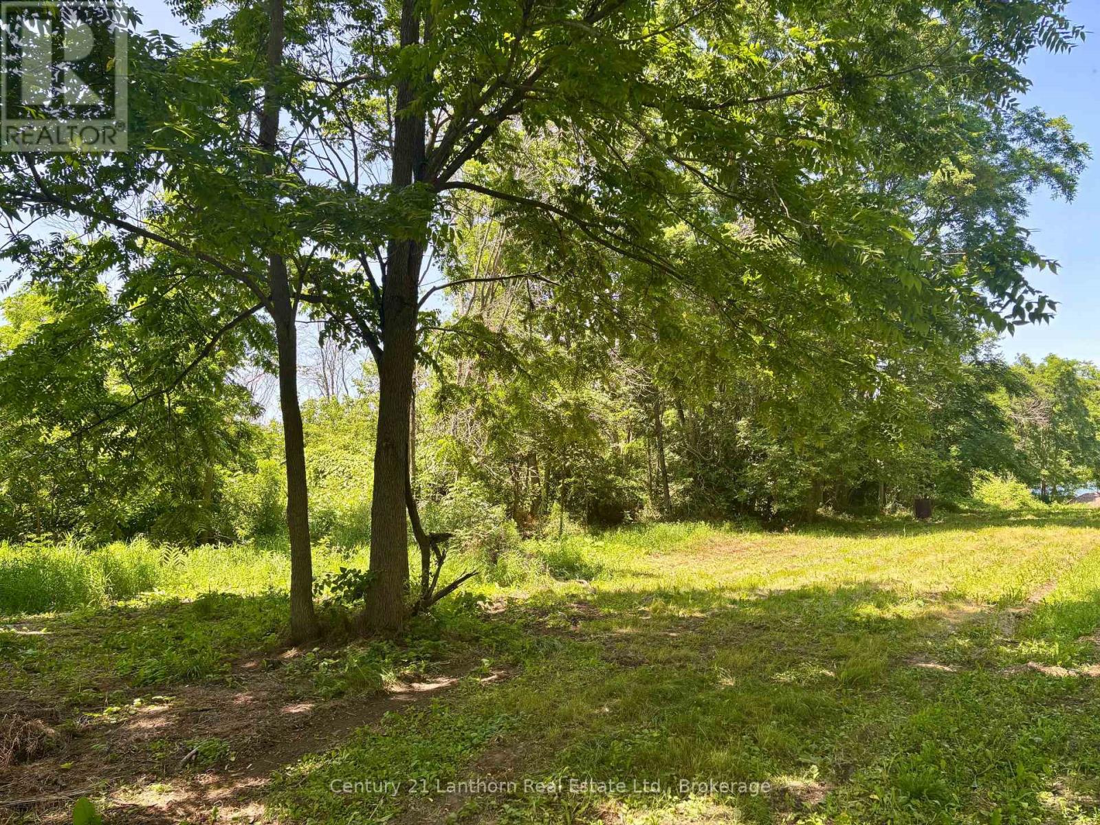 49 Cressy Bayside Road, Prince Edward County, ON photo 27