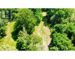 49 Cressy Bayside Road, Prince Edward County, ON K0K2T0 Photo 15
