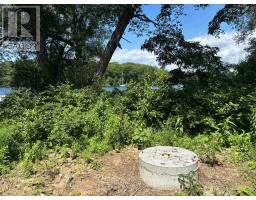 49 Cressy Bayside Road, Prince Edward County, ON K0K2T0 Photo 20