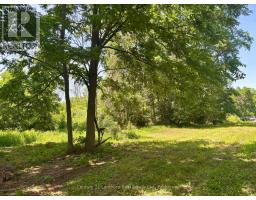 49 Cressy Bayside Road, Prince Edward County, ON K0K2T0 Photo 27
