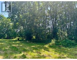 49 Cressy Bayside Road, Prince Edward County, ON K0K2T0 Photo 29