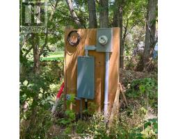 49 Cressy Bayside Road, Prince Edward County, ON K0K2T0 Photo 31
