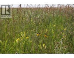 Tyvan Farm, Wellington Rm No  97, SK S0G4X0 Photo 7