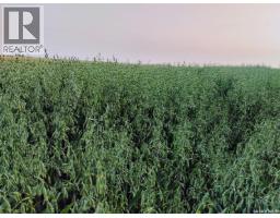 Tyvan Farm, Wellington Rm No  97, SK S0G4X0 Photo 6
