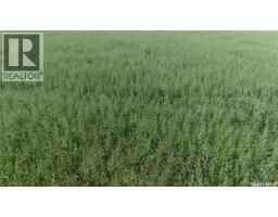 Tyvan Farm, Wellington Rm No  97, SK S0G4X0 Photo 12