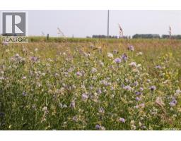 Tyvan Farm, Wellington Rm No  97, SK S0G4X0 Photo 76