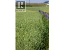 Tyvan Farm, Wellington Rm No  97, SK S0G4X0 Photo 77