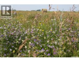 Tyvan Farm, Wellington Rm No  97, SK S0G4X0 Photo 73