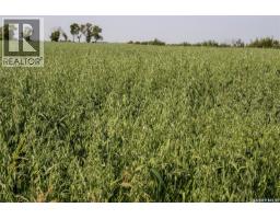 Tyvan Farm, Wellington Rm No  97, SK S0G4X0 Photo 70