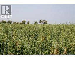 Tyvan Farm, Wellington Rm No  97, SK S0G4X0 Photo 69