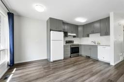 251 Rougeau Avenue, Winnipeg, MB R2C3Z9 Photo 20