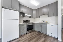 251 Rougeau Avenue, Winnipeg, MB R2C3Z9 Photo 21