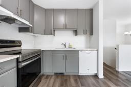 251 Rougeau Avenue, Winnipeg, MB R2C3Z9 Photo 22