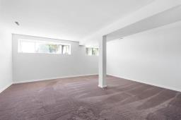 251 Rougeau Avenue, Winnipeg, MB R2C3Z9 Photo 30
