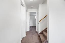 251 Rougeau Avenue, Winnipeg, MB R2C3Z9 Photo 33
