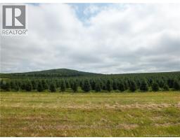 1409 Route 570, Gordonsville, NB E7L2M9 Photo 39