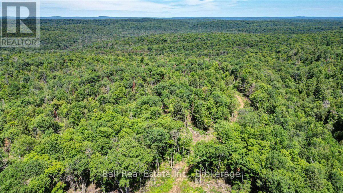 691 BUSH ROAD, North Kawartha — photo 3