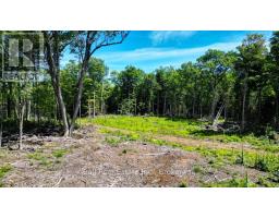 691 Bush Road, North Kawartha, ON K0L1A0 Photo 6