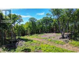 691 Bush Road, North Kawartha, ON K0L1A0 Photo 7