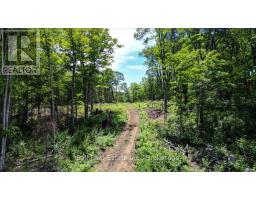 691 Bush Road, North Kawartha, ON K0L1A0 Photo 8
