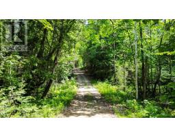 691 Bush Road, North Kawartha, ON K0L1A0 Photo 9