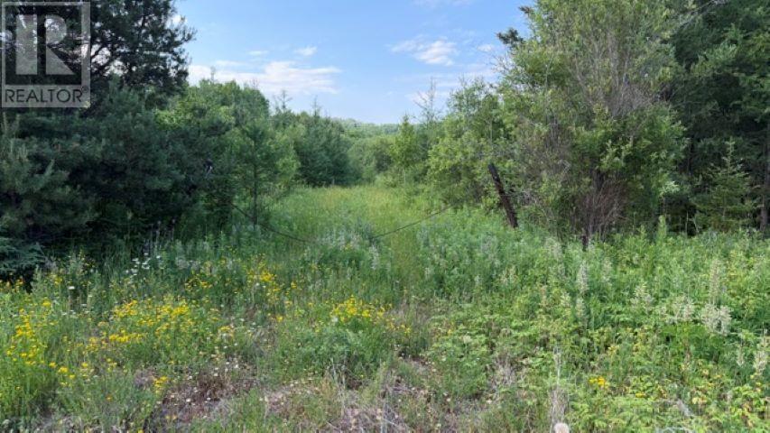 6525 Hwy 61, Crooks/Neebing — photo 3