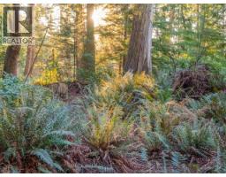 1136 Herchmer Road, Savary Island, BC V8A0G7 Photo 17