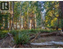 1136 Herchmer Road, Savary Island, BC V8A0G7 Photo 26