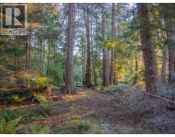 1136 Herchmer Road, Savary Island, BC V8A0G7 Photo 31