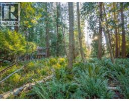 1136 Herchmer Road, Savary Island, BC V8A0G7 Photo 47