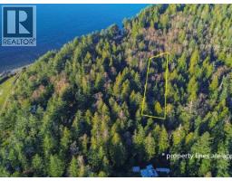1136 Herchmer Road, Savary Island, BC V8A0G7 Photo 6