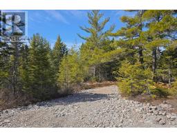 Lot Crisp Road, Inglisville, NS B0S1M0 Photo 6