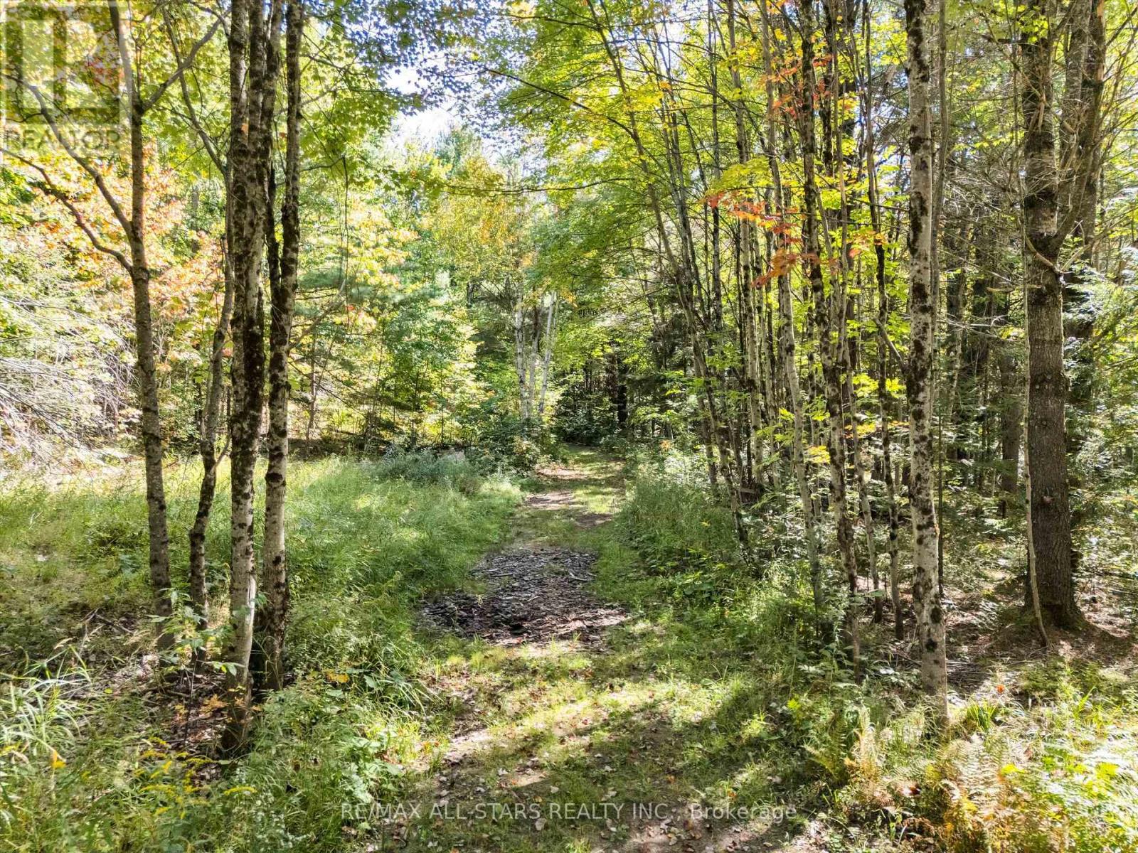 1435 FALKENBURG ROAD - Image 46
