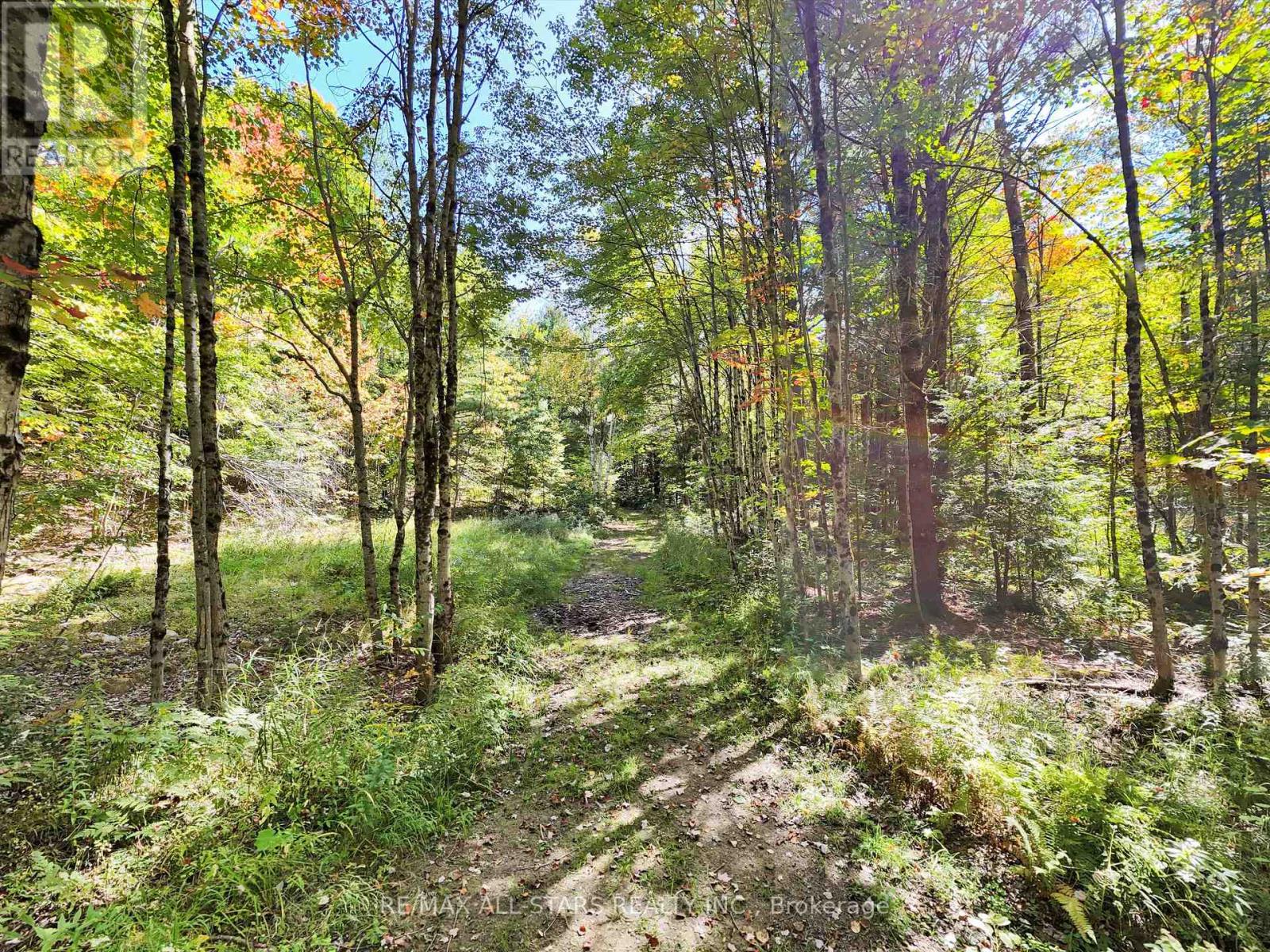 1435 FALKENBURG ROAD - Image 47