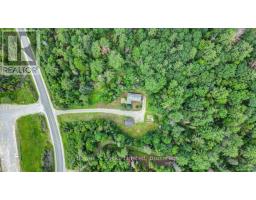 89 Jack Lake Road, North Kawartha, ON K0L1A0 Photo 44