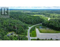 89 Jack Lake Road, North Kawartha, ON K0L1A0 Photo 47