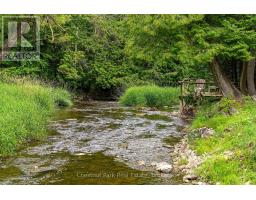 9420 Ewing Road, Clearview, ON N0C1M0 Photo 11