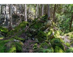 9420 Ewing Road, Clearview, ON N0C1M0 Photo 14