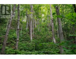 9420 Ewing Road, Clearview, ON N0C1M0 Photo 17