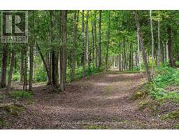 9420 Ewing Road, Clearview, ON N0C1M0 Photo 18