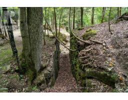 9420 Ewing Road, Clearview, ON N0C1M0 Photo 19