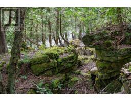 9420 Ewing Road, Clearview, ON N0C1M0 Photo 20