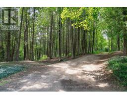 9420 Ewing Road, Clearview, ON N0C1M0 Photo 22
