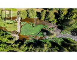 9420 Ewing Road, Clearview, ON N0C1M0 Photo 28