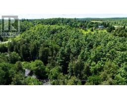 9420 Ewing Road, Clearview, ON N0C1M0 Photo 30