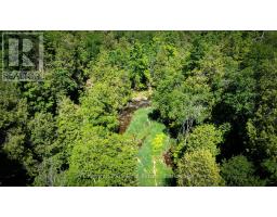 9420 Ewing Road, Clearview, ON N0C1M0 Photo 31