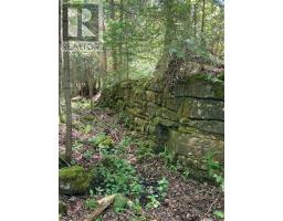 9420 Ewing Road, Clearview, ON N0C1M0 Photo 6