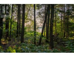 4154 & 4191 Ravenscliffe Road, Huntsville, ON P1H2J2 Photo 7